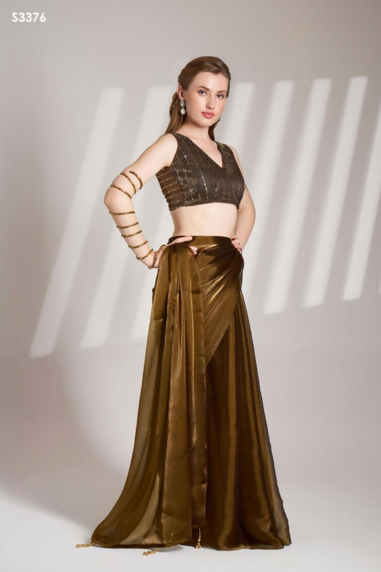 Brown Burberry Organza Solid Fancy Designer Saree - Nafisa