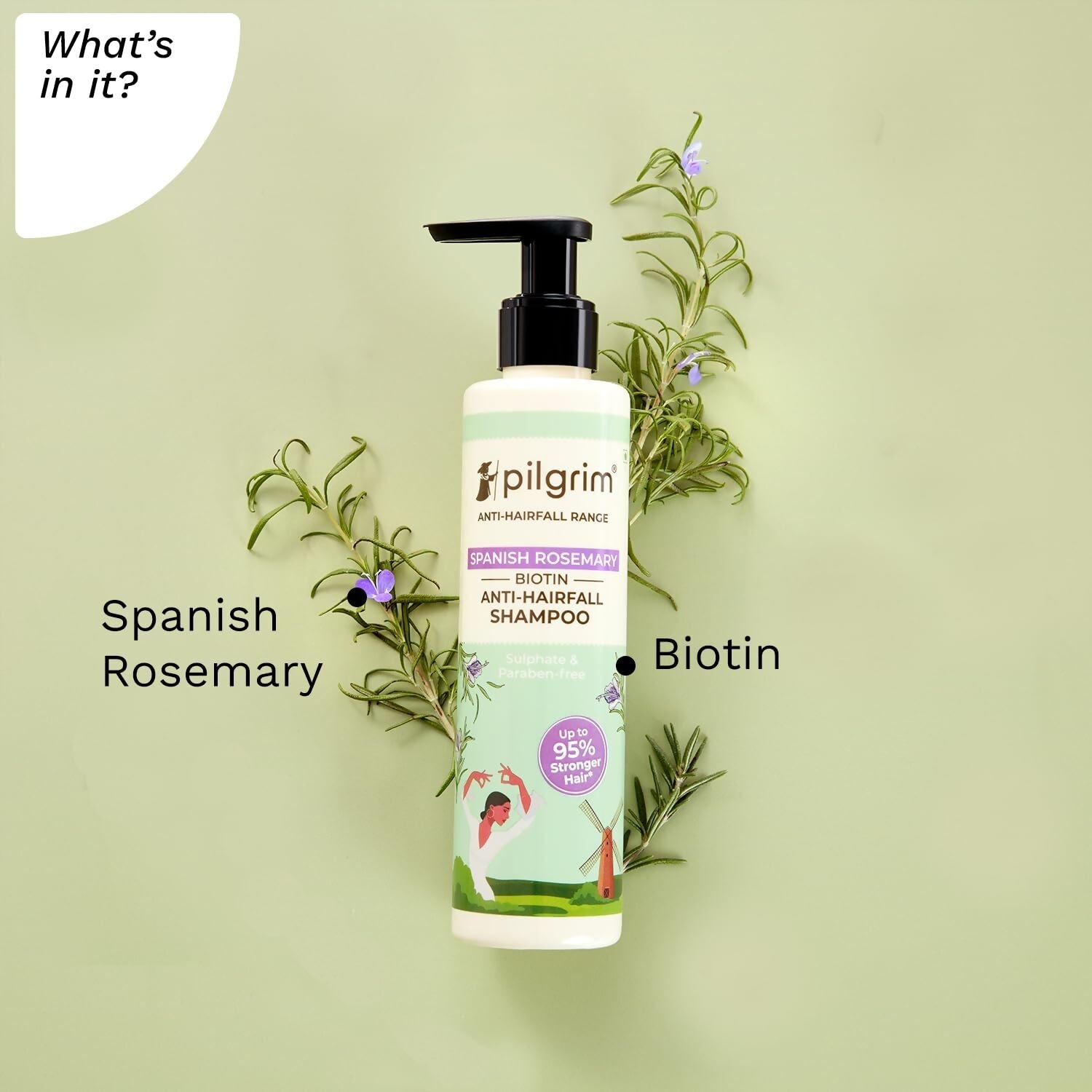 Pilgrim Spanish Rosemary Anti-Hairfall Shampoo (GTM) - Swadesiicart