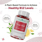 Neuherbs Plant-Based True B12 Tablets - Swadesiicart