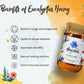 HoneyVeda Premium Raw Eucalyptus Honey - Swadesiicart