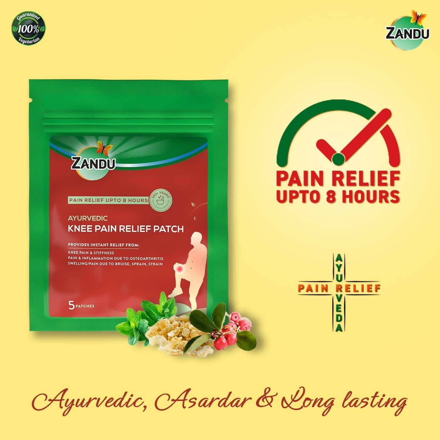 Zandu Ayurvedic Knee Pain Relief Patch - Swadesiicart