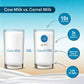 Aadvik Camel Milk Powder (Freeze Dried) - Swadesiicart