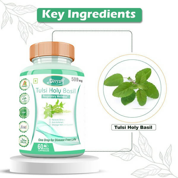 Divya Shree Tulsi Holy Basil Veggie Capsules | Swadesiicart