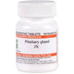 Dr. Willmar Schwabe India Pituitary Gland