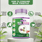 Divya Shree Milk Thistle Capsules - Swadesiicart