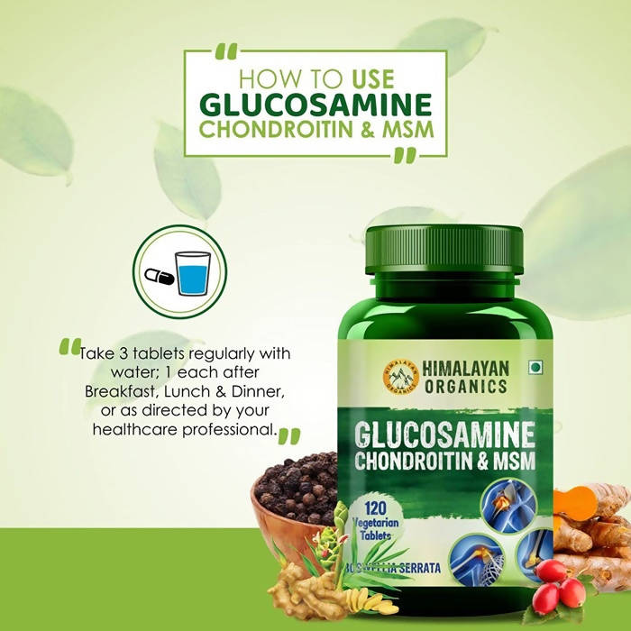 Organics Glucosamine Chondroitin & MSM Boswellia Serrata: 120 Vegetarian Tablets