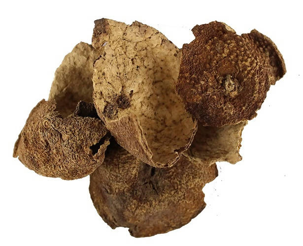 Dark Forest Orange Peel Powder | Swadesiicart