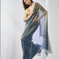 Blue Gold Tissue Net Solid & Gold Cotted Saree - Samaa