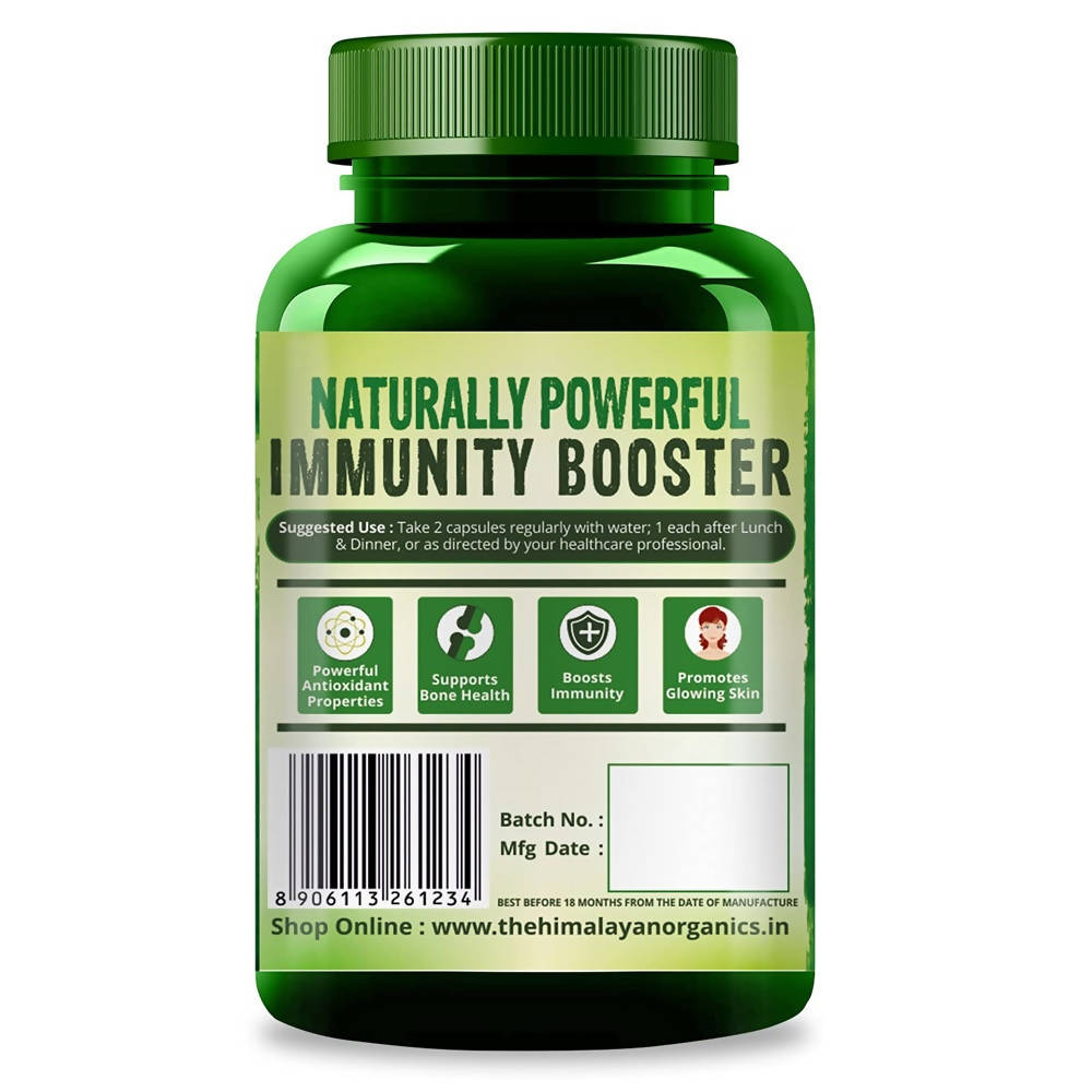 Himalayan Organics Plant Based Vitamin C + Zinc Double Immune Support Vegetarian Capsules | Swadesiicart