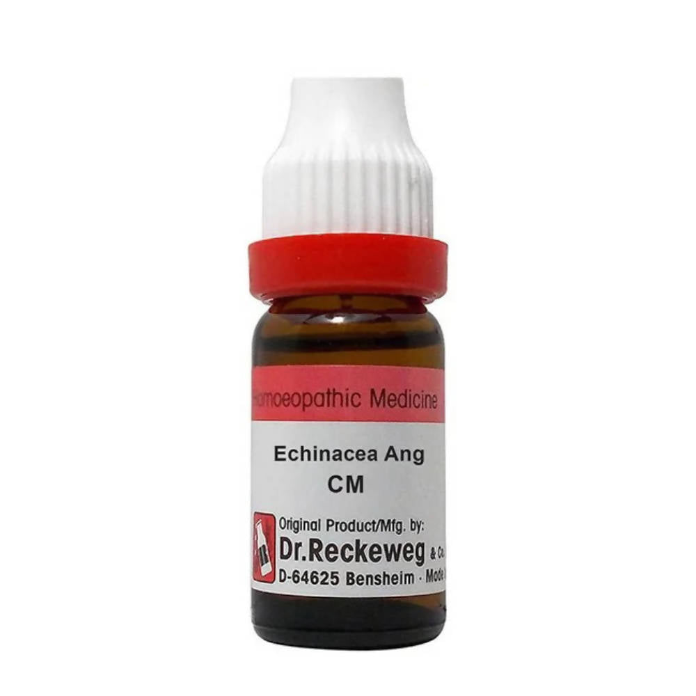 Dr. Reckeweg Echinacea Ang Dilution - Swadesiicart