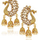 Gold-Polished Alloy Golden Peacock Earrings - The Pari - The Pari - Dinesh Associates