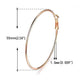 Rhodium-Plated Alloy Assorted Hoop Earrings Combo - The Pari - Swadesiicart