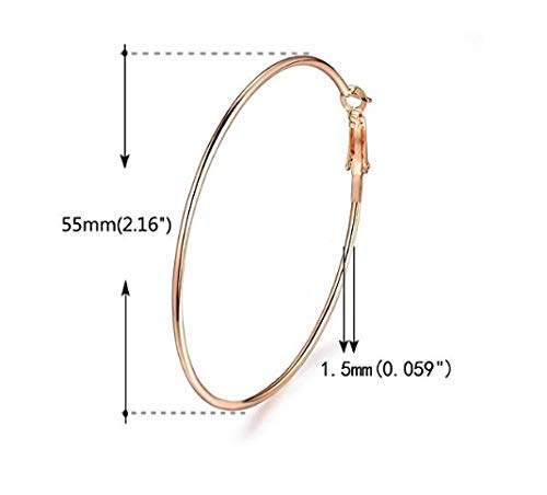 Rhodium-Plated Alloy Assorted Hoop Earrings Combo - The Pari - Swadesiicart