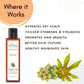 Mystiq Living Originals Castor Oil - Swadesiicart