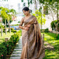 Vishnu Weaves Women's Chiku Handloom Raw Silk Woven Border Saree with Unstitched Blouse - Swadesiicart