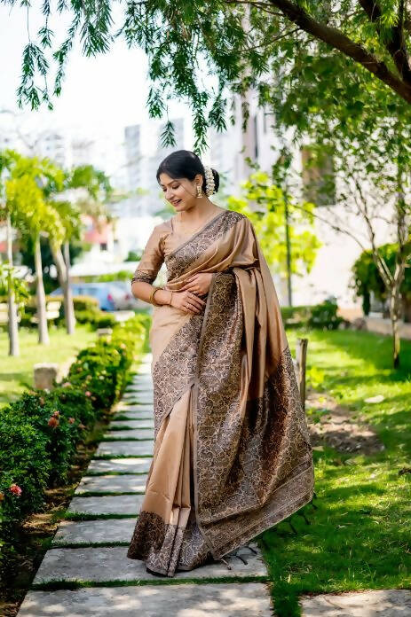 Vishnu Weaves Women's Chiku Handloom Raw Silk Woven Border Saree with Unstitched Blouse - Swadesiicart