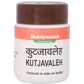 Baidyanath (Jhansi) Kutjavaleh