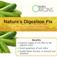 Ayura Origins Nature's Digestion Fix Powder - Swadesiicart