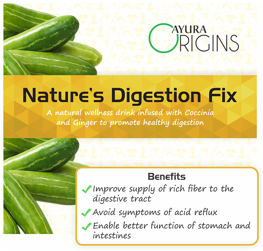Ayura Origins Nature's Digestion Fix Powder - Swadesiicart