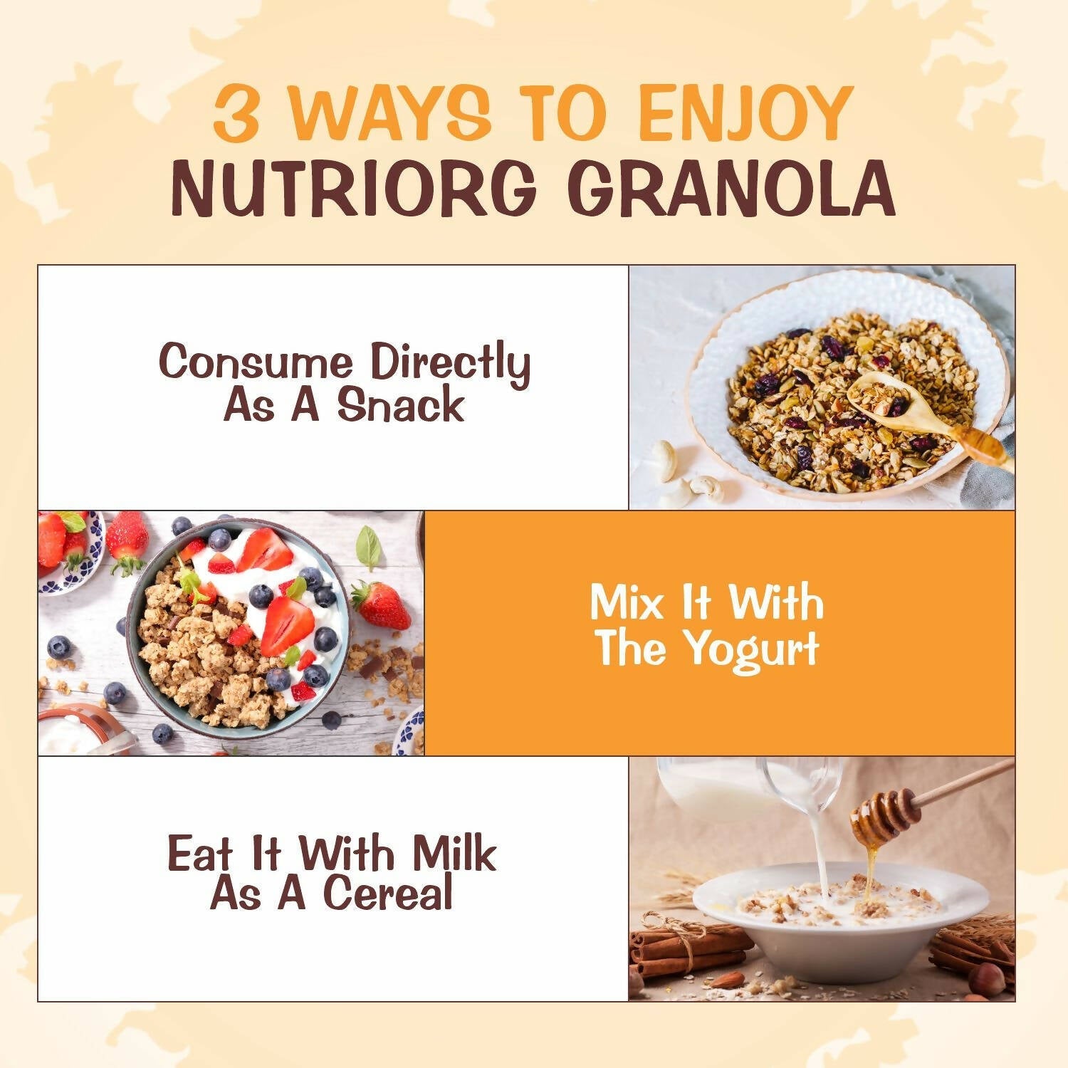 Nutriorg Crunchy Granola Seeds & Dry Fruit Flavor - Swadesiicart