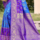 Shree Shyam Fashion Sky Blue Pochampally Silk Saree