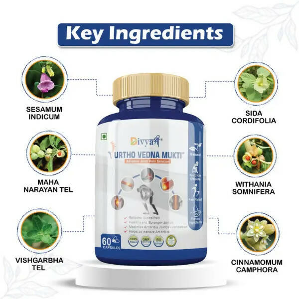 Divya Shree Urtho Vedna Mukti Capsules | Swadesiicart