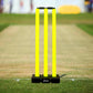 Vifitkit Cricket Stumps with Stand & Bails (Black and Flourescent Green)