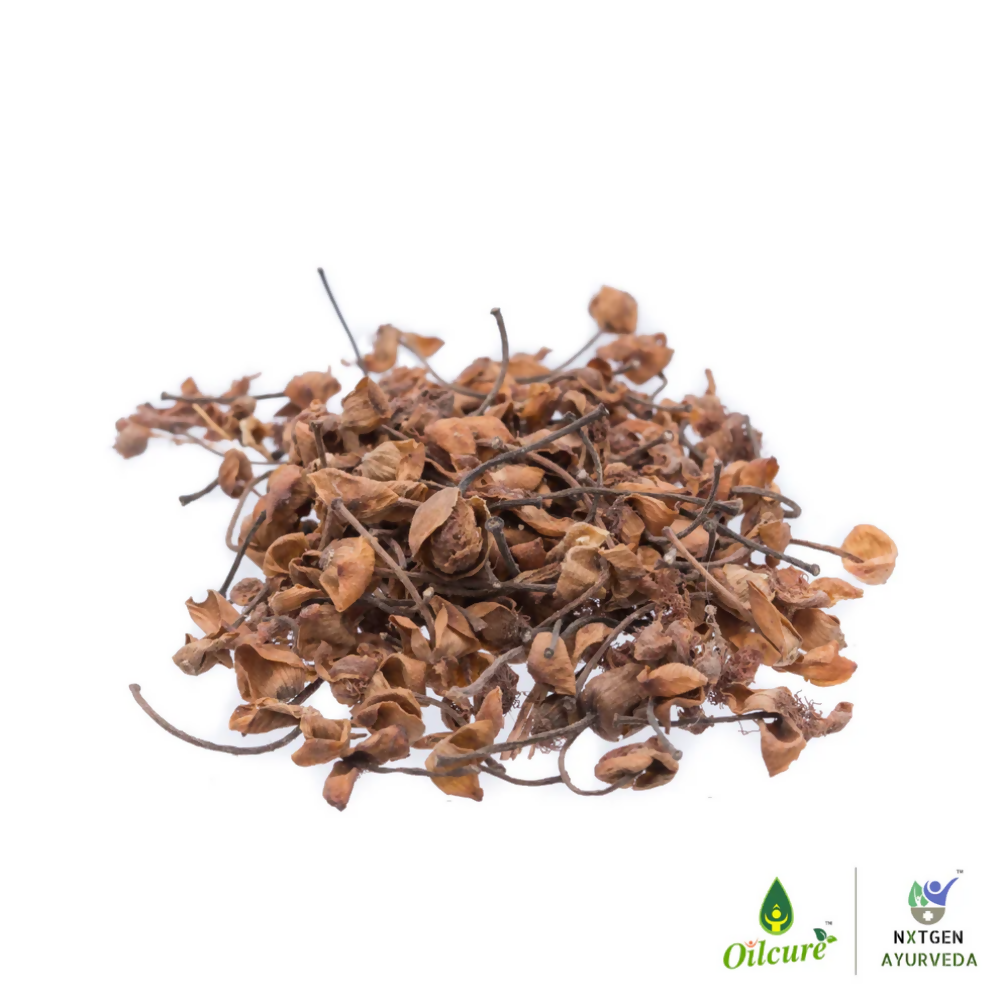 Nxtgen Ayurveda Nagkesar | Swadesiicart