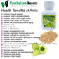 Navchetana Kendra Amla Extract Capsules - Swadesiicart