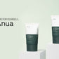 Anua Hearleaf Silky Moisture Suncream - Korean Skincare | Swadesiicart
