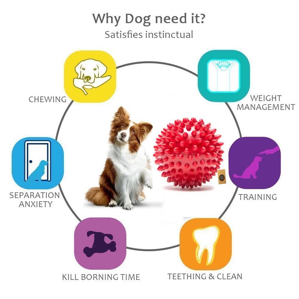 The Dogs Company Natural Rubber Spiked Ball Dog Chew Toy - Swadesiicart