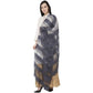 A R Silk Payal Plan Regular Dupatta Gray Color Dupatta or Chunni