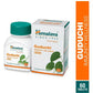 Himalaya Herbals Guduchi Immunity Wellness Tablets - Swadesiicart