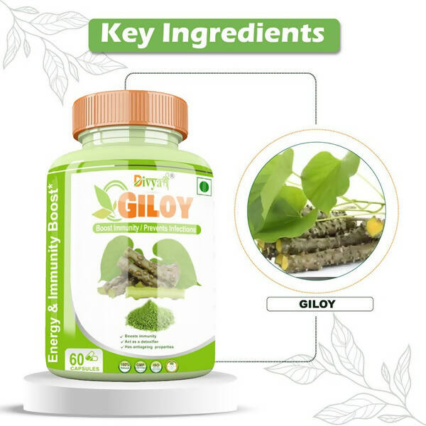 Divya Shree Giloy Capsules | Swadesiicart