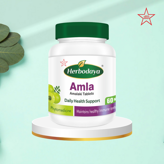 Skm Ayurveda H.Amala Tablets | Swadesiicart