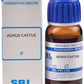 SBL Homeopathy Agnus Castus Mother Tincture Q