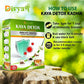 Divya Shree Kaya Detox Immunity Booster Kwath Powder | Swadesiicart