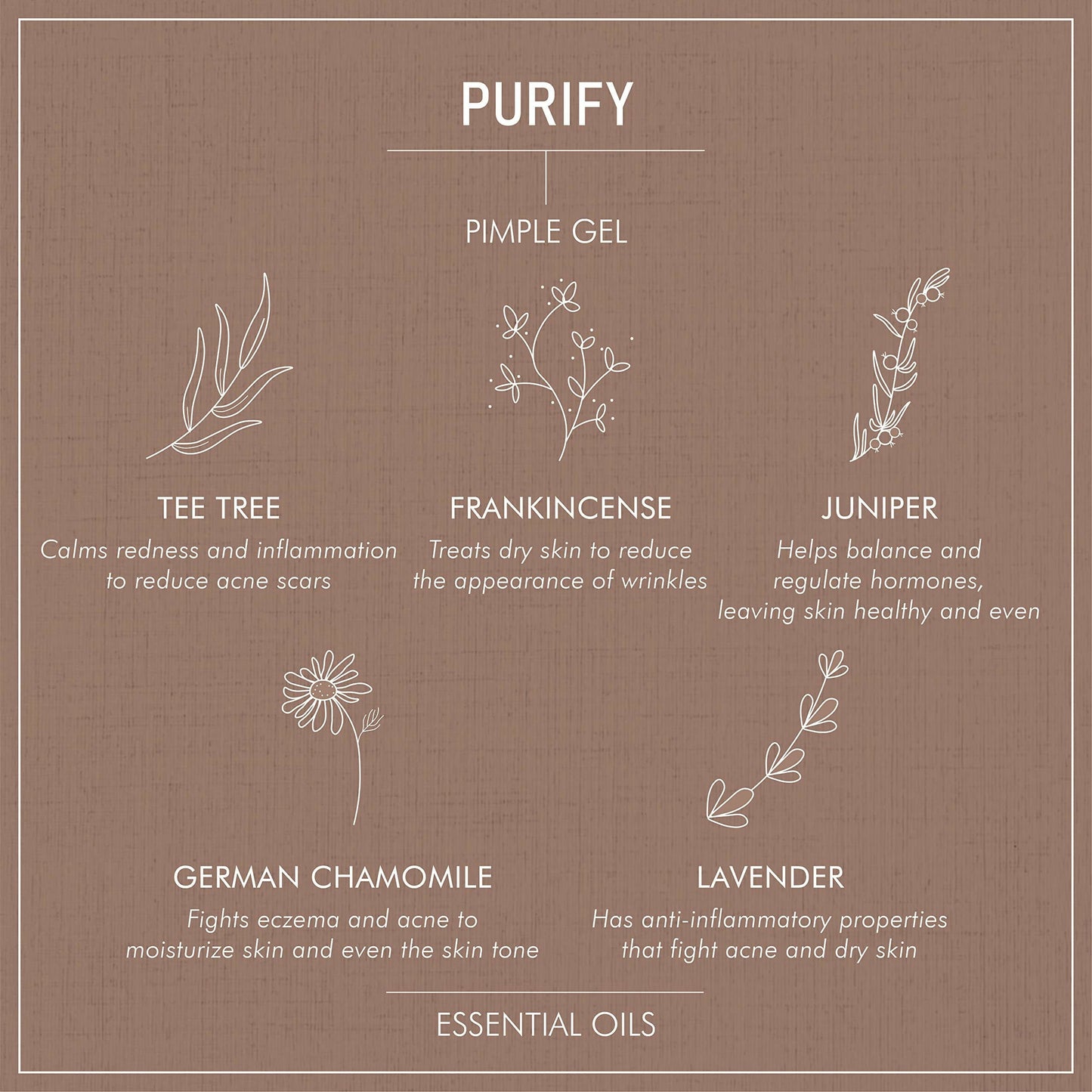 Secret Alchemist Purify Pimple Gel | Swadesiicart