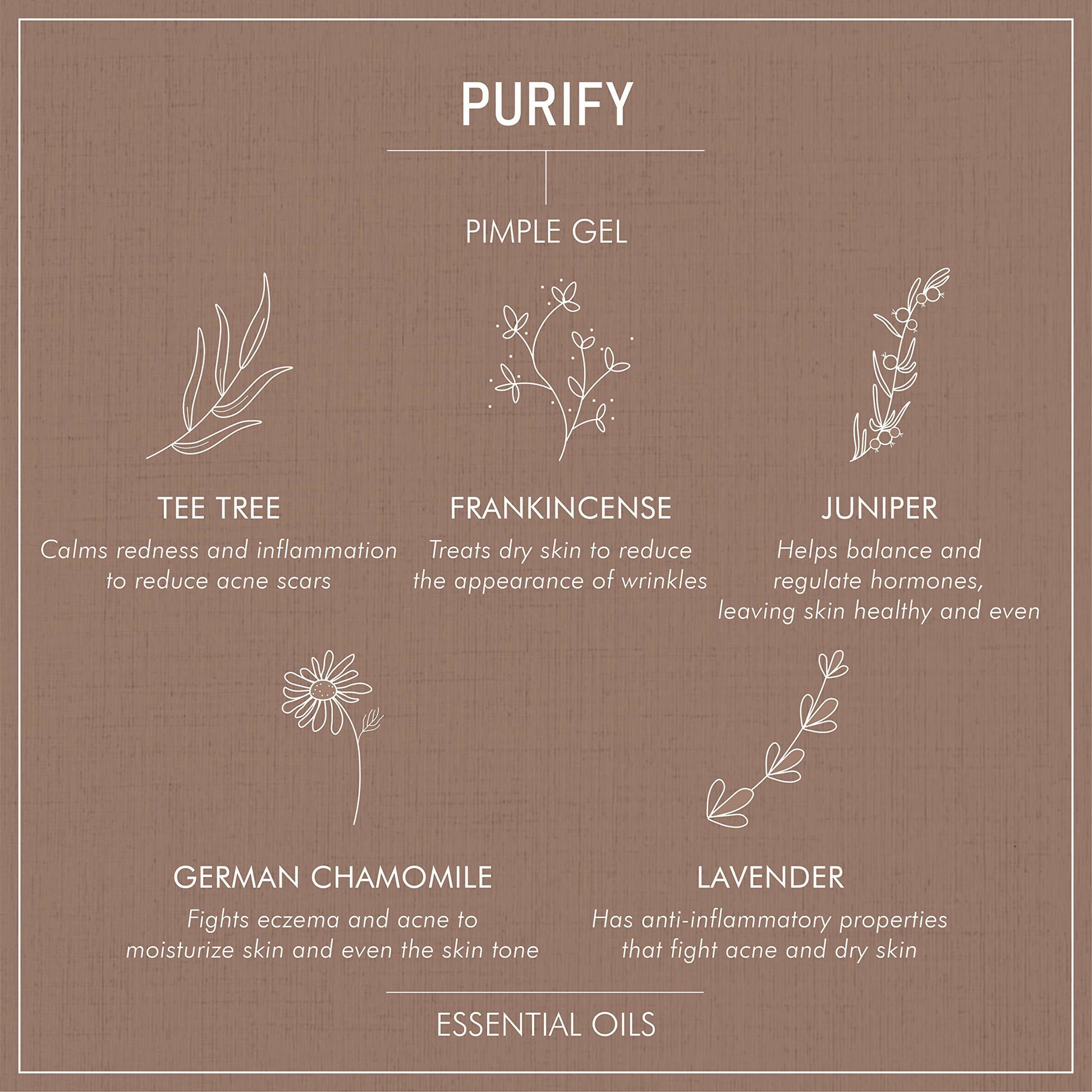 Secret Alchemist Purify Pimple Gel | Swadesiicart