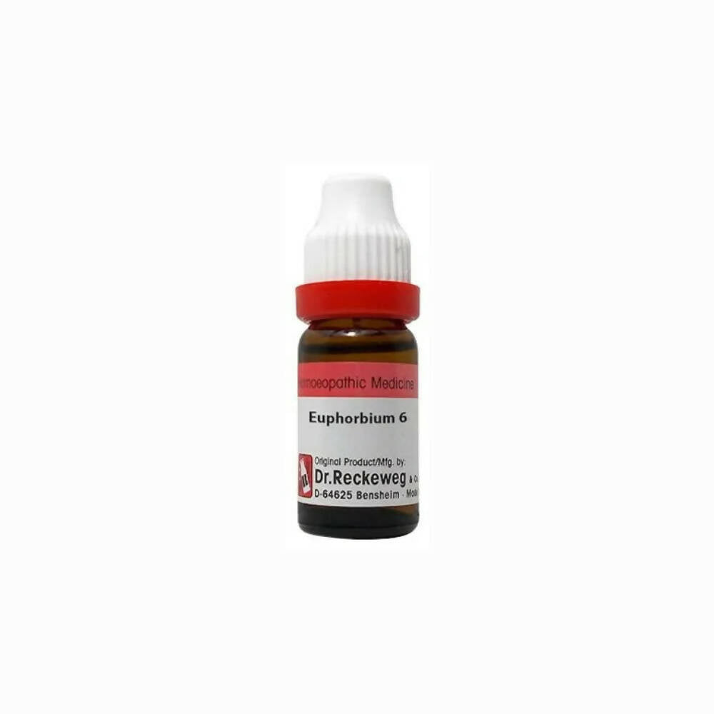 Dr. Reckeweg Euphorbium Dilution - Swadesiicart