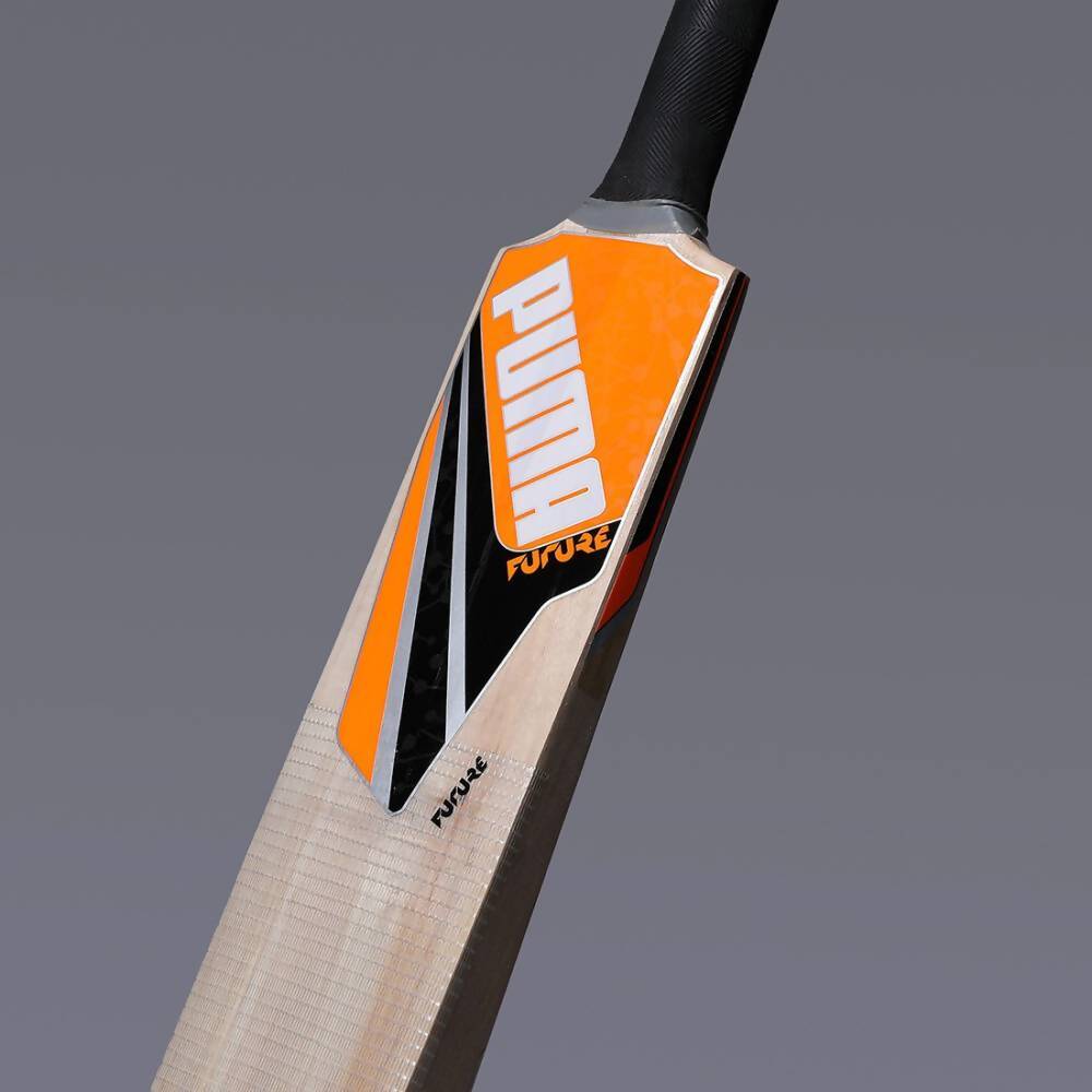 Puma Future Kashmir Willow Cricket Bat - Swadesiicart