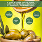 IKAI Organic Virgin Olive Oil