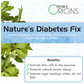 Ayura Origins Nature's Diabetes Fix Powder - Swadesiicart
