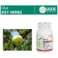 Iafa Ayuveda Amla Veg Capsules | Swadesiicart