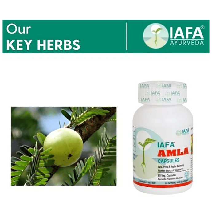 Iafa Ayuveda Amla Veg Capsules | Swadesiicart