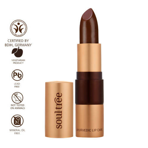 Soultree Ayurvedic Lipstick Creamy Cacao 815 - Swadesiicart