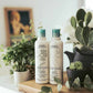 Aveda Travel Size Shampure Nurturing Shampoo | Swadesiicart