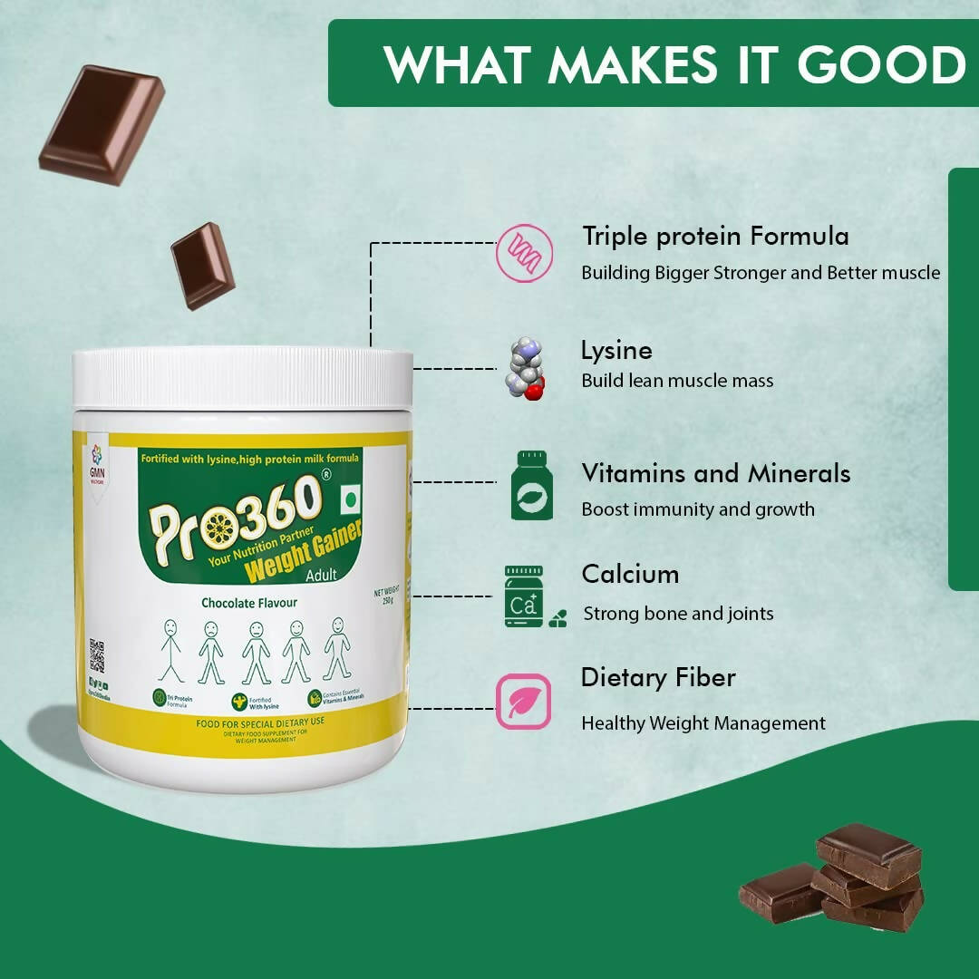 Pro360 Weight Gainer Powder | Swadesiicart