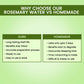 Alps Goodness Hair Growth Expert Kit with Rosemary Water Spray & Rosemary Water Refill