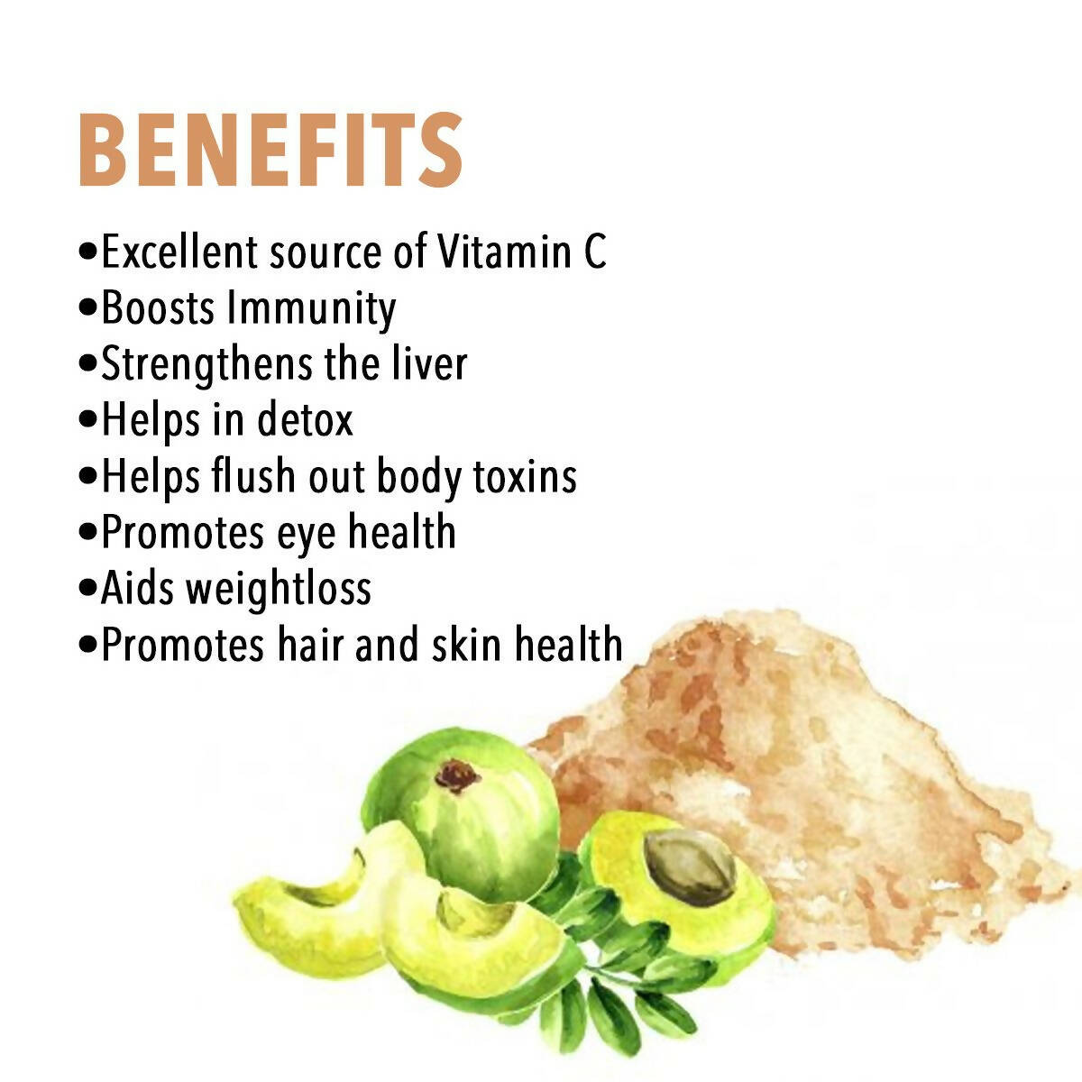 Nutriorg Certified Organic Amla Powder - Swadesiicart
